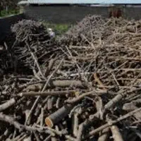 خریدار نقدی چوب داغ ذغالی