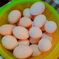 فروش تخم اوردک و مرغ|خوردنی و آشامیدنی|کردکوی, |دیوار