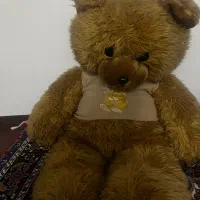 خرس قهوه ای