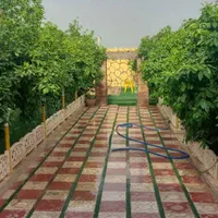 اجاره روزانه/هفتگی/ماهانه ویلا ۷۰۰ متری|اجارهٔ کوتاه‌مدت ویلا و باغ|دزفول, |دیوار
