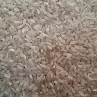 برنج کامفیروزی،و نیم دانه و خرده آشی اعلا،به شرط|خوردنی و آشامیدنی|شیراز, شهرک گلستان|دیوار