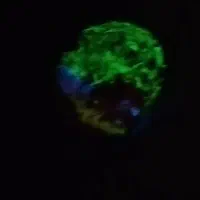 یک عدد سنگ گوهرشب چراغ