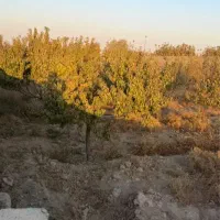 باغ وباغچه/۲۰۲متری/ تک برگ/ اب برق گاز مصرفی|فروش زمین و ملک کلنگی|تهران, باغ خزانه|دیوار