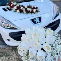 دسته گل و ماشین عروس خاص