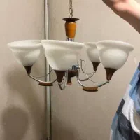 ۲ جفت لوستر ۵ شاخه سالم