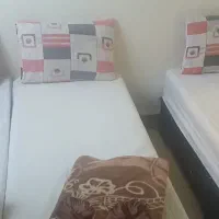 تور مشهد منو آزاد