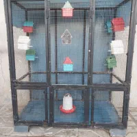طوری برا هرنوع پرنده مرتب و شیک