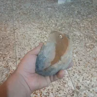 اشیا قدیمی|کلکسیون اشیاء عتیقه|تهران, علم و صنعت|دیوار