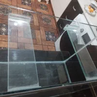 اکواریوم|ماهی|مشهد, تلگرد|دیوار