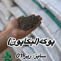 پوکه. لیکاپون. هیدروپونیکـ|عمدهفروشی|پاکدشت, پاکدشت (مامازند)|دیوار