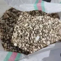 کود کفتر وحشی تمیز