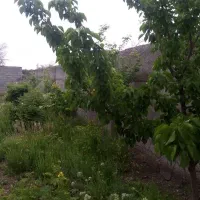 زمین باغی دور دیوار روستای جهانکوب