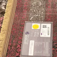 فرش بهشتی کم پاخورده|فرش|تهران, جردن|دیوار