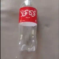 قوطی