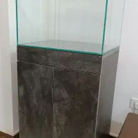 اکواریوم سوپر کلیر ریملس