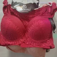 لباس زیر زنانه|لباس|تبریز, |دیوار