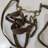 زین بغدادی قدیمت قدمت ۱۰۰سال