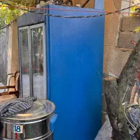 یخچال سوپری و کبابی سالم