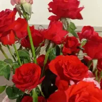 گلخانه دز|گل مصنوعی|اهواز, زیتون کارمندی|دیوار