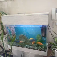 اکواریوم کاملا نو