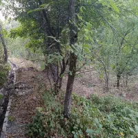 باغ ییلاقی روبه رودخانه روستای مغان با جوی آب زیبا|فروش خانه و ویلا|مشهد, کوی سیدی|دیوار