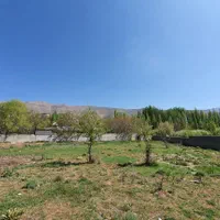 شش دانگ زمین چهار دیواری دشت مشا دماوند|فروش زمین و ملک کلنگی|آبعلی, |دیوار