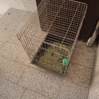 قفس بزرگ و مناسب پرنده و طوطی