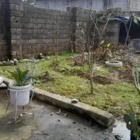 راهنمایی کافه شریکی|اجارهٔ مغازه و غرفه|رشت, آتشگاه|دیوار