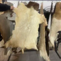 فروش ویژه پوست بز و بره