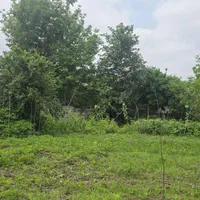 دو پلاک زمین ۲۸۲متری داخل بافت /قابل ساخت/کاسبی|فروش زمین و ملک کلنگی|لشت نشا, |دیوار