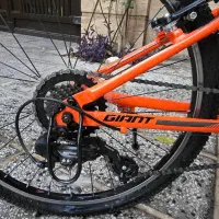 دوچرخه جاینت جونیور سایز 24 مدل XTC Jr