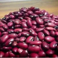 لوبیا قرمز