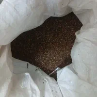 کنجد برای فروش