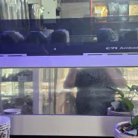 اسپرسو سازصنعتی فائما ایتالیا باآسیاب زنیت ایتالیا