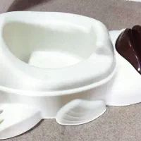 توالت کودک