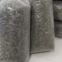 تخمه آفتابگردان|خوردنی و آشامیدنی|تهران, خلیج فارس|دیوار