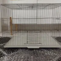 قفس مرغ عشق