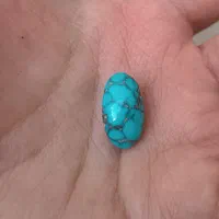 فیروزه نیشابوری اصل|جواهرات|اصفهان, صدف|دیوار