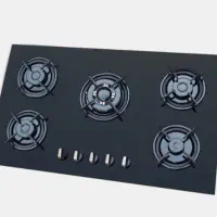 فروش گاز صفحه ای