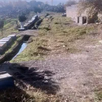 سرایداری