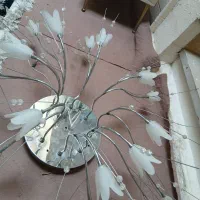 لوستر فانتزی