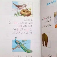 تدریس عربی تضمینی ۱۰۰%