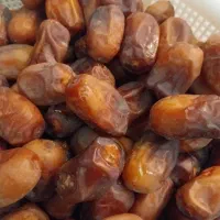 رب گوجه وخرمای بدون شیره شبیه قصب ولی نرمترازقصبه|خوردنی و آشامیدنی|رستم, |دیوار