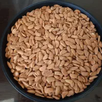 بادام مامایی صادراتی