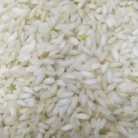 فروش برنج