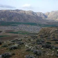 2-هزار-متر-زمین-زارعی-و-ساخت-و-ساز