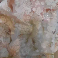 چادر مجلسی|لباس|یزد, |دیوار