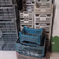 جعبه پلاستیکی سبد سیاه و سفید میوه گوجه انگور|ظروف نگهدارنده، پلاستیکی، یک‌بارمصرف|ارومیه, |دیوار