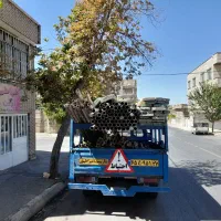 داربست|خدمات پیشه و مهارت|ارومیه, |دیوار