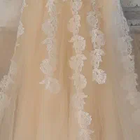 لباس مجلسی|لباس|قم, شهر قائم|دیوار